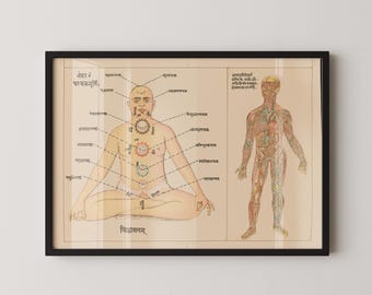 Tantrisches Yoga sechs Chakren Poster | Sanskrit & Anatomie