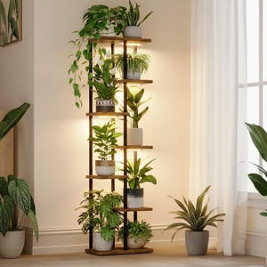 May include: A tall, wooden plant stand with multiple shelves, each holding potted green plants. The stand has a dark frame and built-in lighting. Several other potted plants are placed around the stand, creating a lush, indoor garden setting.