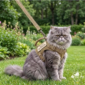 May include: A fluffy grey cat wearing a tan tactical-style harness with a matching leash. The harness features a rectangular patch with the text MAMA SAYS I'M SPECIAL in black lettering, a top handle, and adjustable side-release buckles for a secure fit.