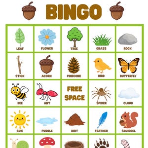 May include: A colorful Nature Walk Bingo game board with illustrations of nature elements like leaves, flowers, and animals. The title "Nature Walk Bingo" is at the top. The game includes a "Free Space" square.
