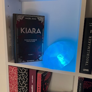 Lampada Kiara Diamond stampata in 3D – Decorazione Dark Romance BookTok – Luce notturna a LED ispirata all'universo di Kiara