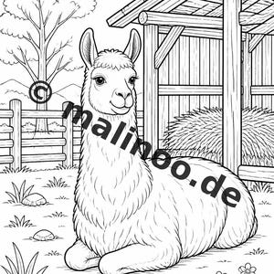 Bauernhof Malbuch PDF Download digital – 20 Ausmalbilder für Kinder – Buch 01 Edition 1 (DIN-A4) Bild 18