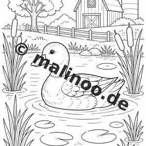 Farm Coloring Book PDF Download digital – 20 coloring pages for children – Book 02 Edition 1 (DIN-A4) image 12