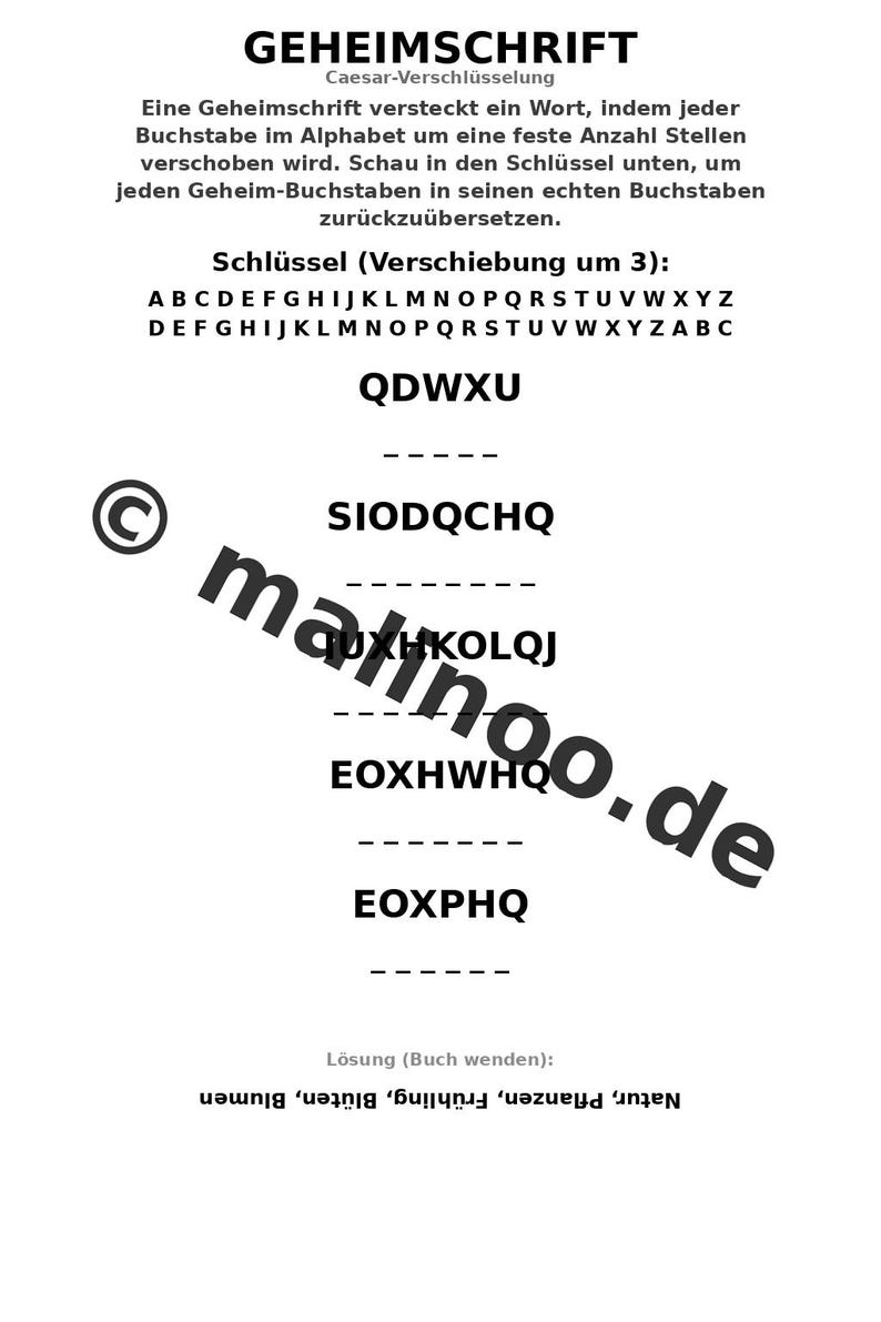 Blumen Aktivitätsbuch PDF Download digital – 100 Rätsel- und Aktivitätsseiten für Kinder – MEGABUCH 01 Edition 1 (DIN-A4) image 10