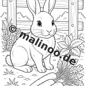 農場ぬりえブック PDF デジタル版ダウンロード – 子供向けぬりえ20ページ – ブック02 第1版 (DIN-A4) 画像 15