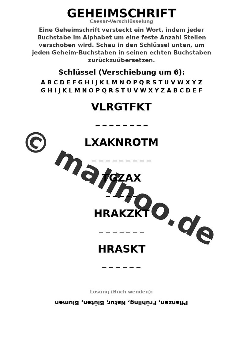Blumen Aktivitätsbuch PDF Download digital – 100 Rätsel- und Aktivitätsseiten für Kinder – MEGABUCH 01 Edition 1 (DIN-A4) image 7