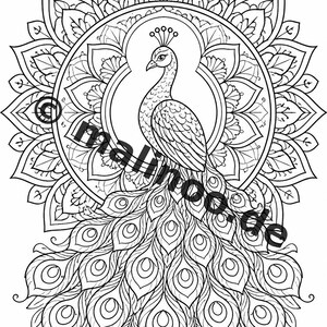 Mandala Coloring Book PDF Download Digital – 20 Coloring Pages for Children – Book 03 Edition 1 (DIN-A4) image 6
