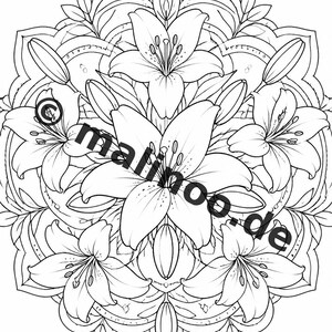 Mandala målarbok PDF nedladdning digitalt – 50 målarbilder för barn – Volym 3 Utgåva 1 (DIN-A4) bild 4