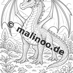 Drachen Malbuch Kinder – 100 Ausmalbilder – PDF Download E1/B1 (DIN-A4) – Geschenk, Beschäftigung, Adventskalender, Geburtstag Bild 3