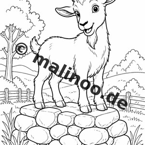 農場ぬりえブック PDF デジタル版ダウンロード – 子供向けぬりえ100ページ – メガブック02 第1版 (DIN A4) 画像 11