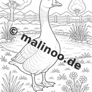 Livro de colorir Fazenda PDF para download digital – 20 páginas para colorir para crianças – Livro 01 Edição 1 (DIN-A4) imagem 13