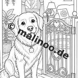 Livre de coloriage de chiens pour enfants – 50 pages à colorier – Téléchargement PDF E1/B1 (DIN-A4) – Cadeau, activité de voyage, anniversaire, pour s'occuper. image 8