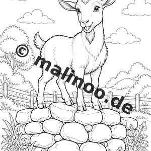 Libro para colorear de animales de granja para niños – 50 páginas para colorear – Descarga en PDF E1/B3 (DIN-A4) – Regalo, actividad de viaje, cumpleaños, actividad imagen 11
