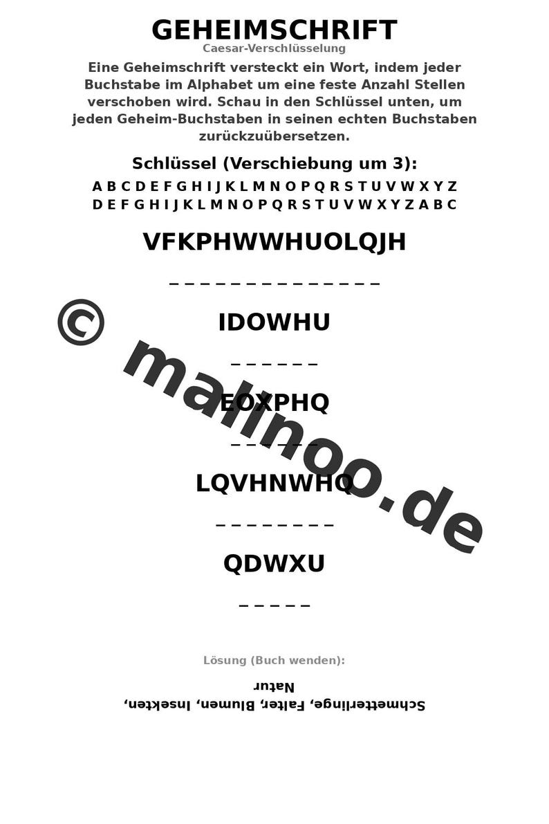 Activiteitenboek met vlinders voor kinderen – 100 puzzel- en activiteitenpagina's – Gedrukt + losse pagina's E1/B1 (DIN A4) – Cadeau, Activiteitenboek afbeelding 10