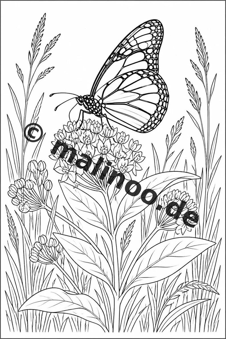 Schmetterlinge Aktivitätsbuch PDF Download digital – 100 Rätsel- und Aktivitätsseiten für Kinder – MEGABUCH 01 Edition 1 (DIN-A4) Bild 3