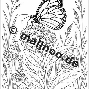 Activiteitenboek met vlinders voor kinderen – 100 puzzel- en activiteitenpagina's – Gedrukt + losse pagina's E1/B1 (DIN A4) – Cadeau, Activiteitenboek afbeelding 3