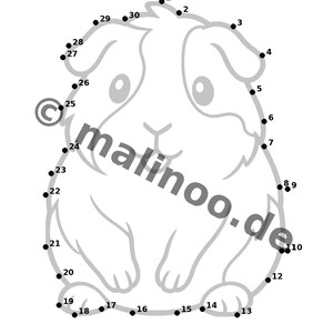 Guinea Pig Activity Book for Children – 100 Puzzle & Activity Pages – Bound or Loose, Edition 02 (DIN A4) – Gift, Activity image 19