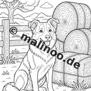 Bauernhof Malbuch PDF Download digital – 20 Ausmalbilder für Kinder – Buch 01 Edition 1 (DIN-A4) Bild 16