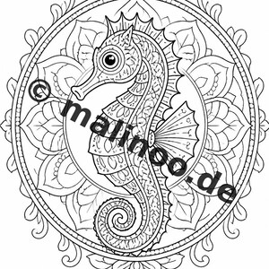 Mandala målarbok PDF nedladdning digitalt – 50 målarbilder för barn – Volym 3 Utgåva 1 (DIN-A4) bild 11