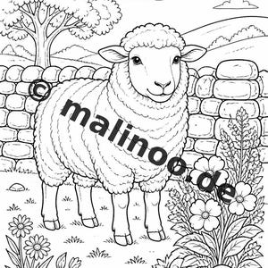 Livro de colorir de animais da fazenda para crianças – 20 páginas para colorir – Download em PDF E1/B3 (DIN-A4) – Lembrancinha de festa, presente, aniversário infantil, lembrancinha de festa imagem 4