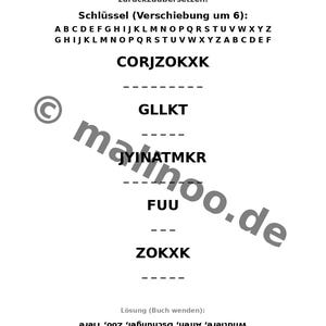 Werkbladen met apenthema voor kinderen vanaf 8 jaar – Direct te downloaden als PDF – Lastminute cadeau – 100 pagina's E1 afbeelding 10