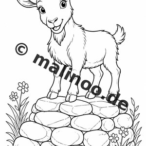 Bauernhof Malbuch PDF Download digital – 50 Ausmalbilder für Kinder – Band 01 Edition 1 (DIN-A4) Bild 11
