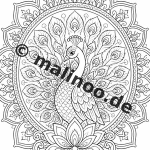 Mandala Coloring Book PDF Download Digital – 50 Coloring Pages for Children – Volume 2 Edition 1 (DIN-A4) image 6