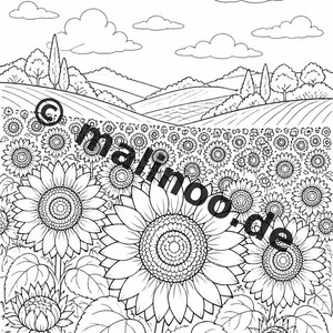 Blumen Aktivitätsbuch PDF Download digital – 100 Rätsel- und Aktivitätsseiten für Kinder – MEGABUCH 01 Edition 1 (DIN-A4) image 3