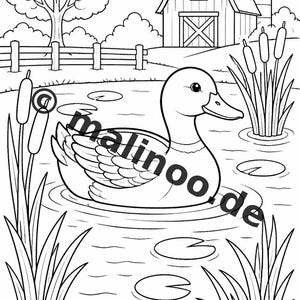 Livro de colorir Fazenda PDF para download digital – 20 páginas para colorir para crianças – Livro 01 Edição 1 (DIN-A4) imagem 12