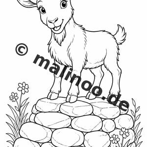 Bauernhof Malbuch PDF Download digital – 20 Ausmalbilder für Kinder – Buch 01 Edition 1 (DIN-A4) Bild 11