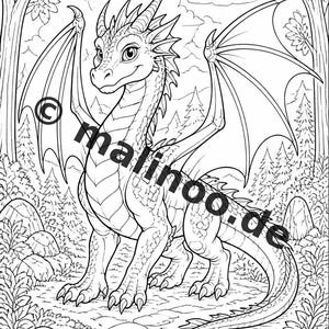 Drachen Malbuch Kinder – 100 Ausmalbilder – PDF Download E1/B1 (DIN-A4) – Geschenk, Beschäftigung, Adventskalender, Geburtstag Bild 5