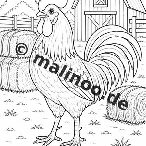 Livro de colorir de animais da fazenda para crianças – 20 páginas para colorir – Download em PDF E1/B3 (DIN-A4) – Lembrancinha de festa, presente, aniversário infantil, lembrancinha de festa imagem 6