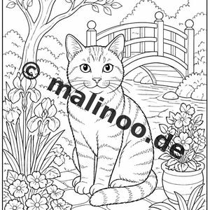 Katzen Malbuch Kinder – 50 Ausmalbilder – PDF Download E1/B1 (DIN-A4) – Geschenk, Reisebeschäftigung, Geburtstag, Beschäftigung Bild 11