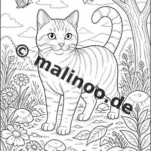 Katzen Malbuch Kinder – 50 Ausmalbilder – PDF Download E1/B1 (DIN-A4) – Geschenk, Reisebeschäftigung, Geburtstag, Beschäftigung Bild 3
