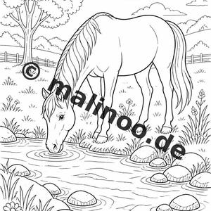 Livro de colorir de animais da fazenda para crianças – 20 páginas para colorir – Download em PDF E1/B3 (DIN-A4) – Lembrancinha de festa, presente, aniversário infantil, lembrancinha de festa imagem 9