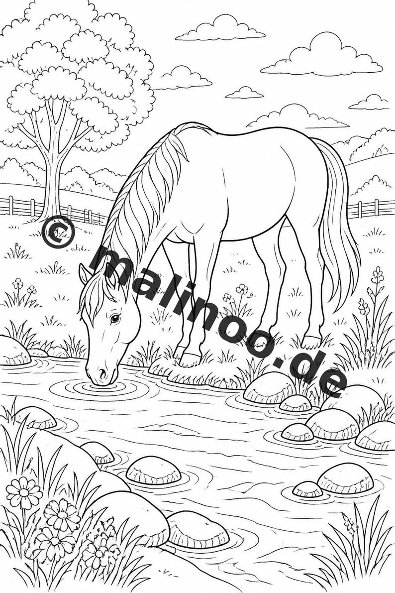Livro de colorir de animais da fazenda para crianças – 20 páginas para colorir – Download em PDF E1/B3 (DIN-A4) – Lembrancinha de festa, presente, aniversário infantil, lembrancinha de festa imagem 9