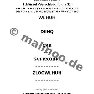 Werkbladen met apenthema voor kinderen vanaf 8 jaar – Direct te downloaden als PDF – Lastminute cadeau – 100 pagina's E1 afbeelding 7