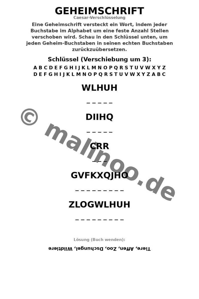 Werkbladen met apenthema voor kinderen vanaf 8 jaar – Direct te downloaden als PDF – Lastminute cadeau – 100 pagina's E1 afbeelding 7