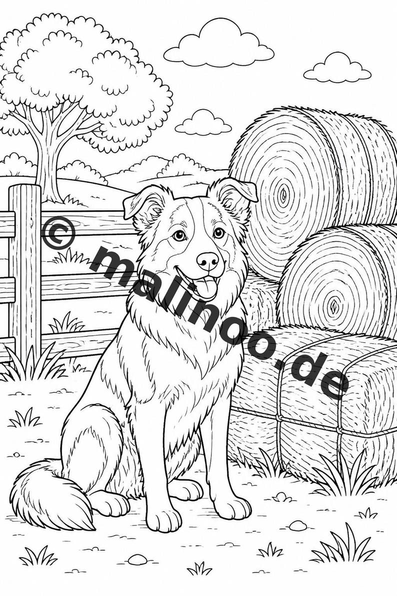 Bauernhof Malbuch PDF Download digital – 20 Ausmalbilder für Kinder – Buch 01 Edition 1 (DIN-A4) Bild 16