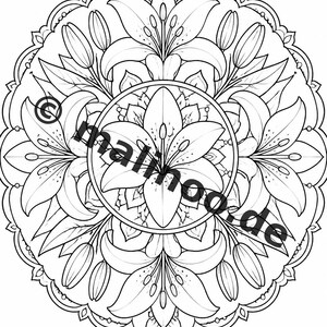 Mandalas kleurboek voor kinderen – 20 kleurplaten – PDF-download E1/B2 (DIN-A4) – Feestartikel, cadeau, kinderfeestje, gastgeschenk afbeelding 4