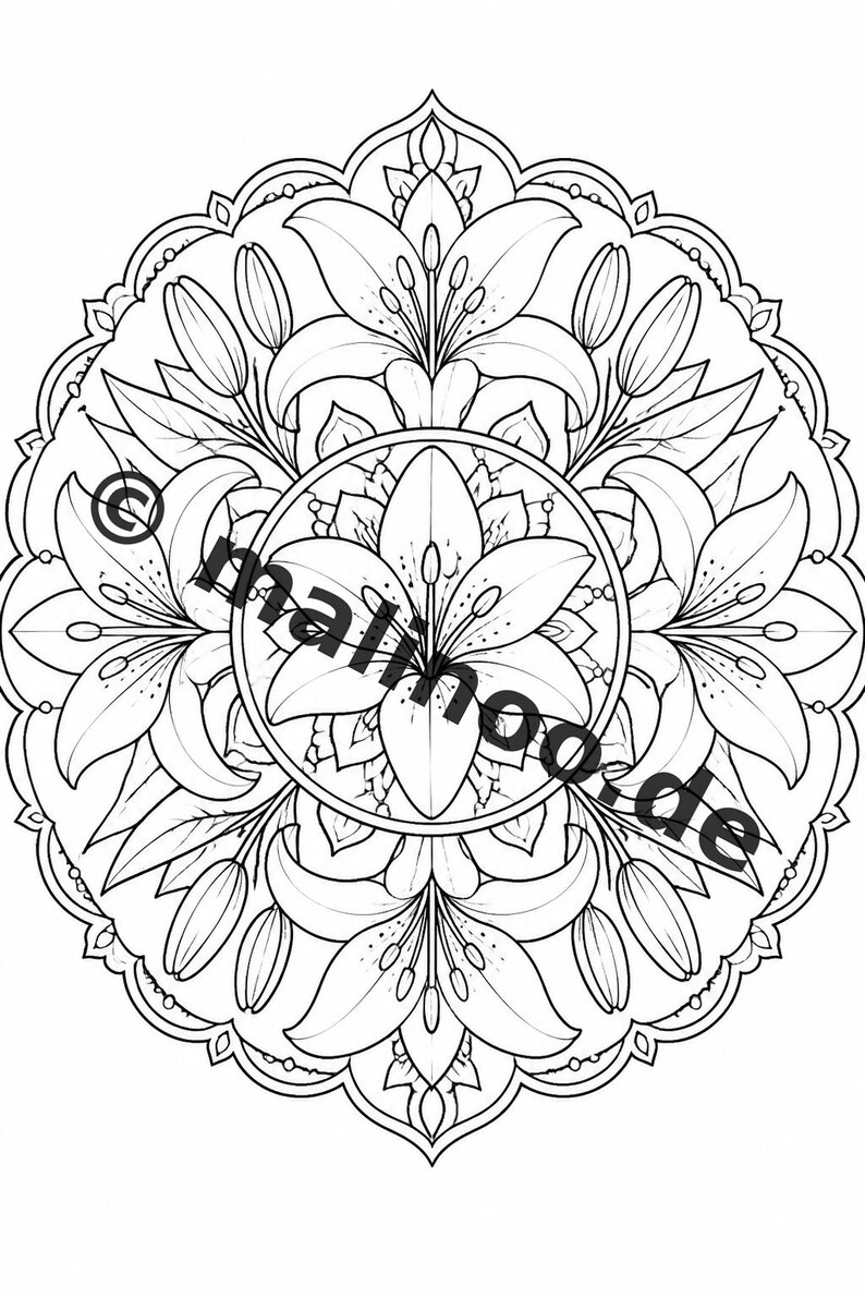 Mandalas kleurboek voor kinderen – 20 kleurplaten – PDF-download E1/B2 (DIN-A4) – Feestartikel, cadeau, kinderfeestje, gastgeschenk afbeelding 4