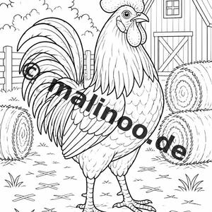 農場ぬりえブック PDF デジタル版ダウンロード – 子供向けぬりえ100ページ – メガブック02 第1版 (DIN A4) 画像 6