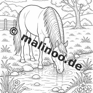 Bauernhof Malbuch PDF Download digital – 50 Ausmalbilder für Kinder – Band 01 Edition 1 (DIN-A4) Bild 9