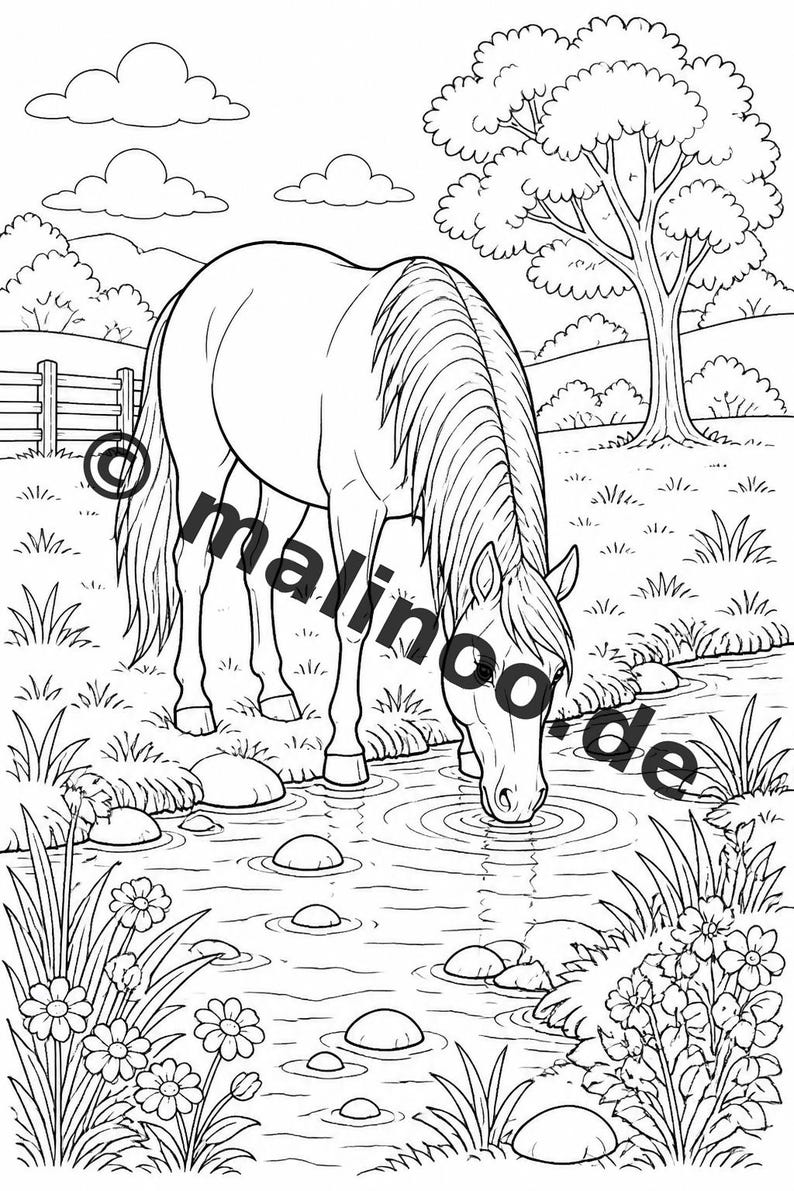 Bauernhof Malbuch PDF Download digital – 50 Ausmalbilder für Kinder – Band 01 Edition 1 (DIN-A4) Bild 9