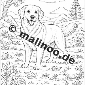 Hunde Malbuch Kinder – 100 Ausmalbilder – PDF Download E1/B1 (DIN-A4) – Geschenk, Beschäftigung, Adventskalender, Geburtstag Bild 3