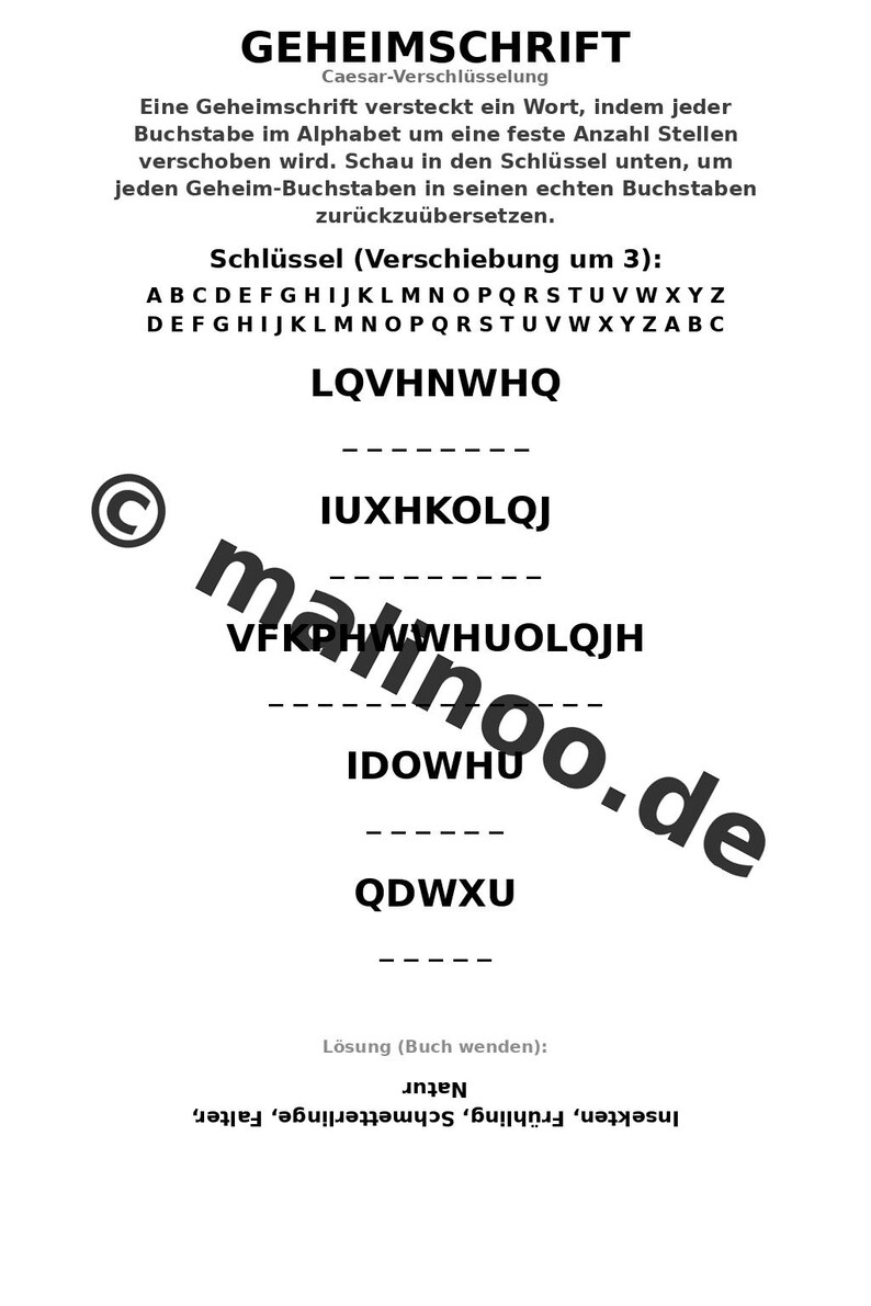 Schmetterlinge Aktivitätsbuch PDF Download digital – 100 Rätsel- und Aktivitätsseiten für Kinder – MEGABUCH 01 Edition 1 (DIN-A4) Bild 7