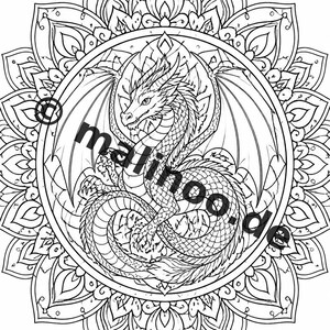 Mandalas kleurboek voor kinderen – 20 kleurplaten – PDF-download E1/B2 (DIN-A4) – Feestartikel, cadeau, kinderfeestje, gastgeschenk afbeelding 12