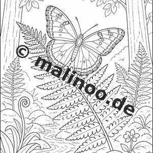 Schmetterlinge Malbuch Kinder – 100 Ausmalbilder – PDF Download E1/B1 (DIN-A4) – Geschenk, Beschäftigung, Adventskalender, Geburtstag Bild 5