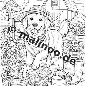 Hunde Malbuch Kinder – 100 Ausmalbilder – PDF Download E1/B1 (DIN-A4) – Geschenk, Beschäftigung, Adventskalender, Geburtstag Bild 9