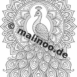 Mandala målarbok PDF nedladdning digitalt – 50 målarbilder för barn – Volym 3 Utgåva 1 (DIN-A4) bild 6